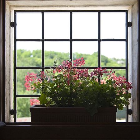 Agriturismo Althea ヴィットリオ・ヴェネト エクステリア 写真