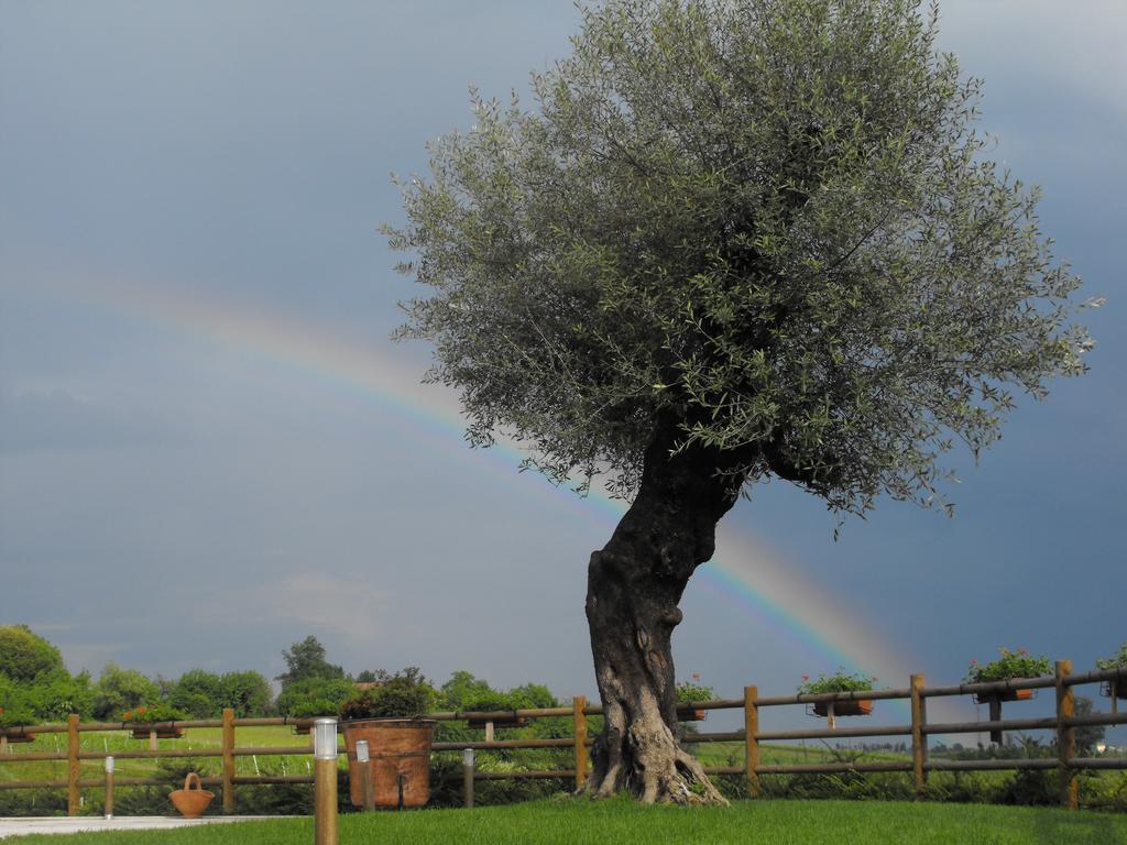Agriturismo Althea ヴィットリオ・ヴェネト エクステリア 写真