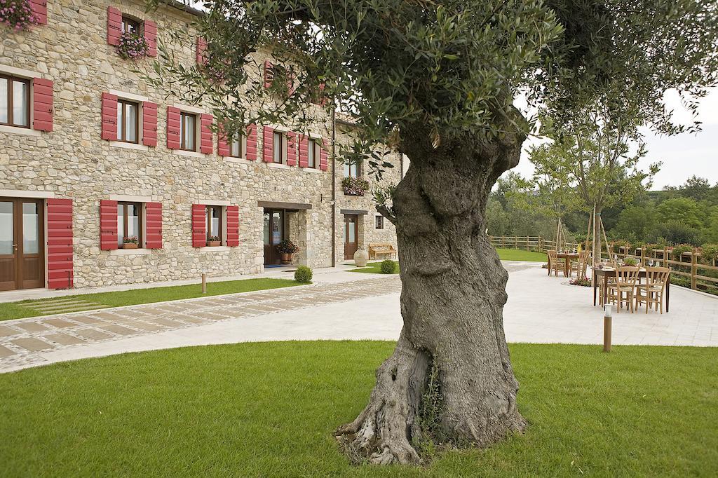 Agriturismo Althea ヴィットリオ・ヴェネト エクステリア 写真